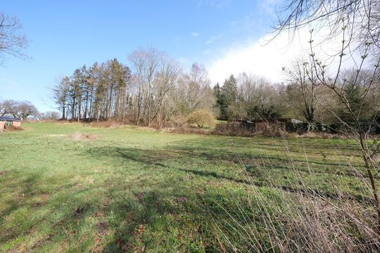 Single wohnung eckernforde